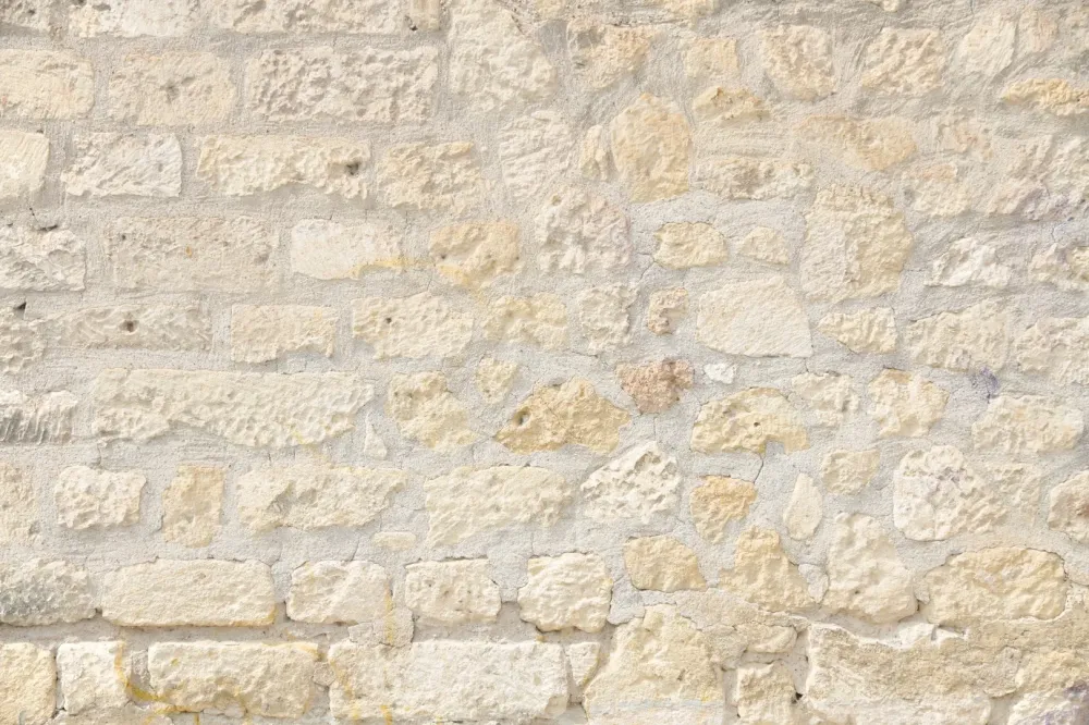 Démoussage de façade à Les Ormes